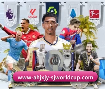 FIFA世界杯 APP
